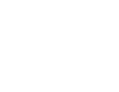 WizWedge